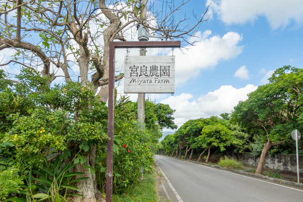 宮良農園-23110510