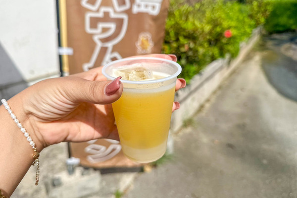 さとうきび-2405076