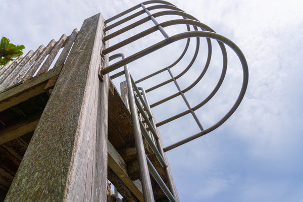 painuhamapark-23072721