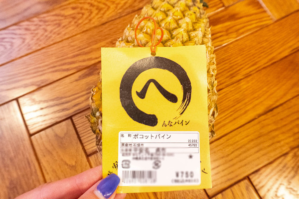 pine-24050230