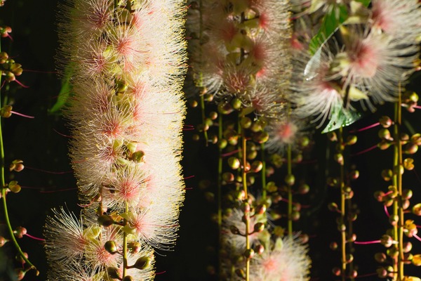 33064-1270-8d574ad96d5a238c0b0f9