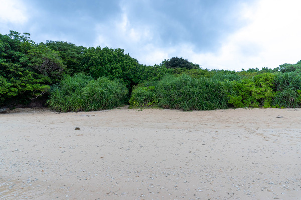 hirakubobeach-23072621