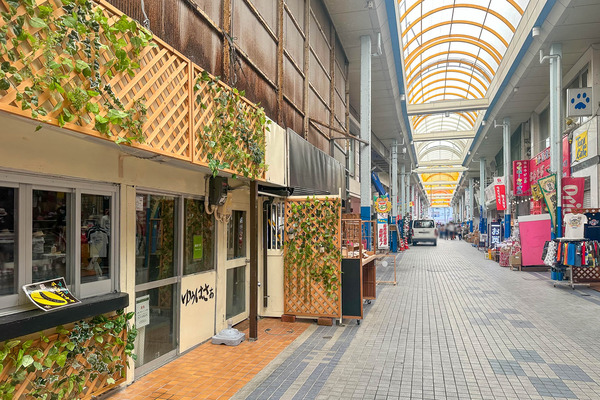 ゆぅはさぁ-2406214