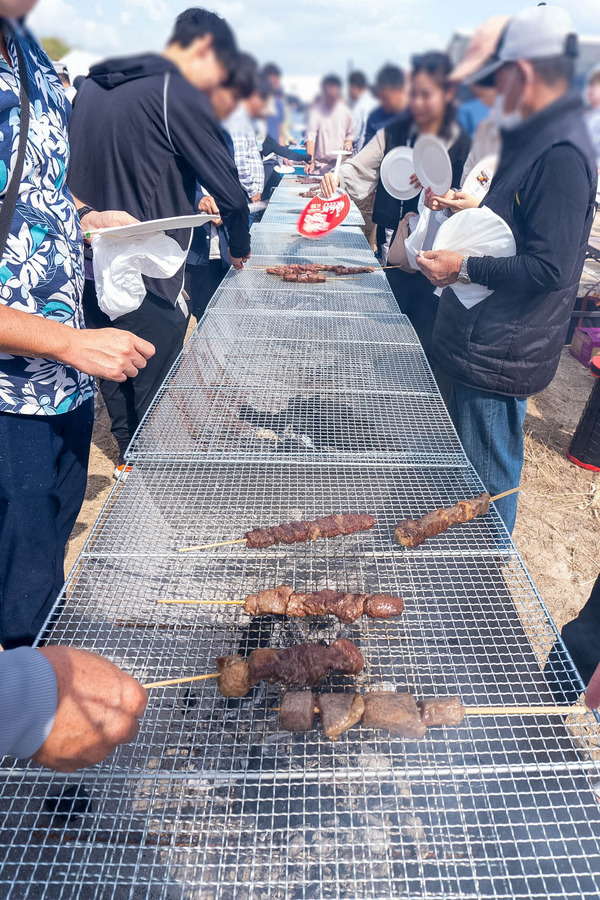 bbq-23111841