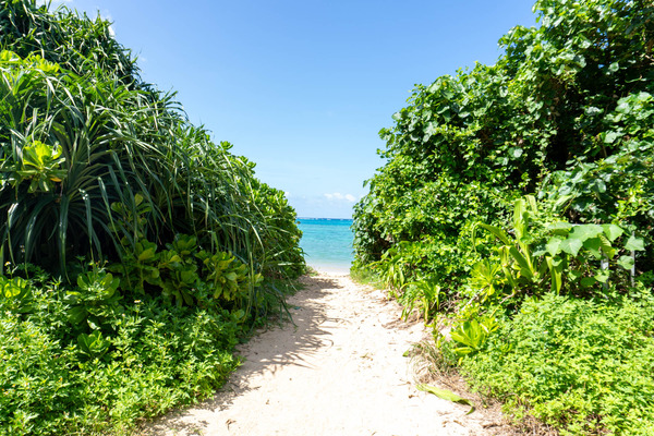 hiranobeach-2309097
