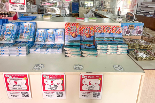 さとうきび-2405079