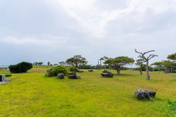 painuhamapark-23072723