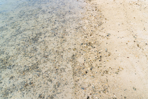 Sukuji-beach-23072512