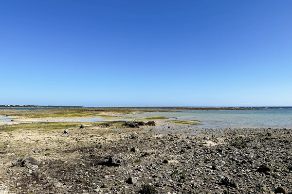 大浜海岸-23121510