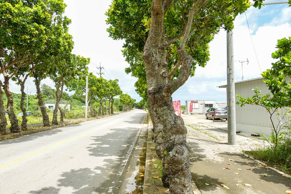 AX-2309061-2