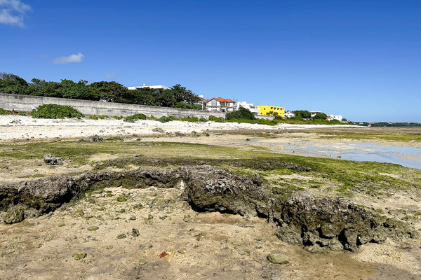大浜海岸-2312154