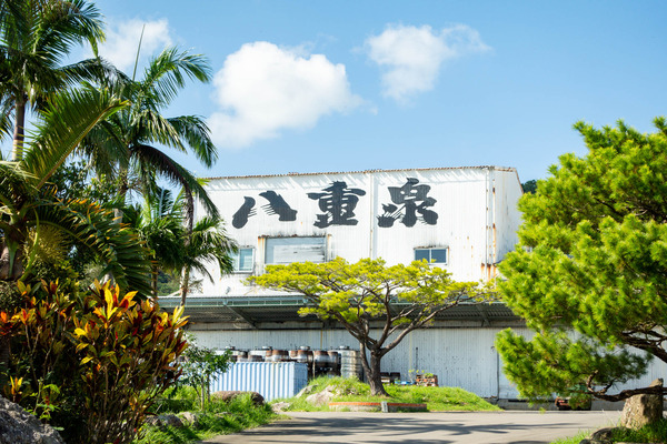 八重線-2309091