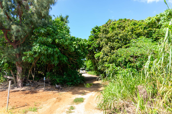 hiranobeach-2309093