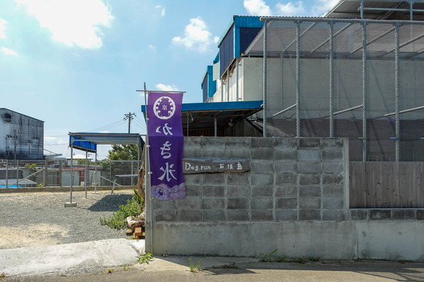 ドッグラン-2405163