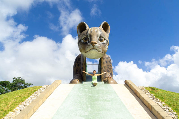 やまねこパーク20230713094226