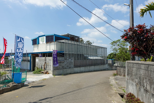 ドッグラン-2405162