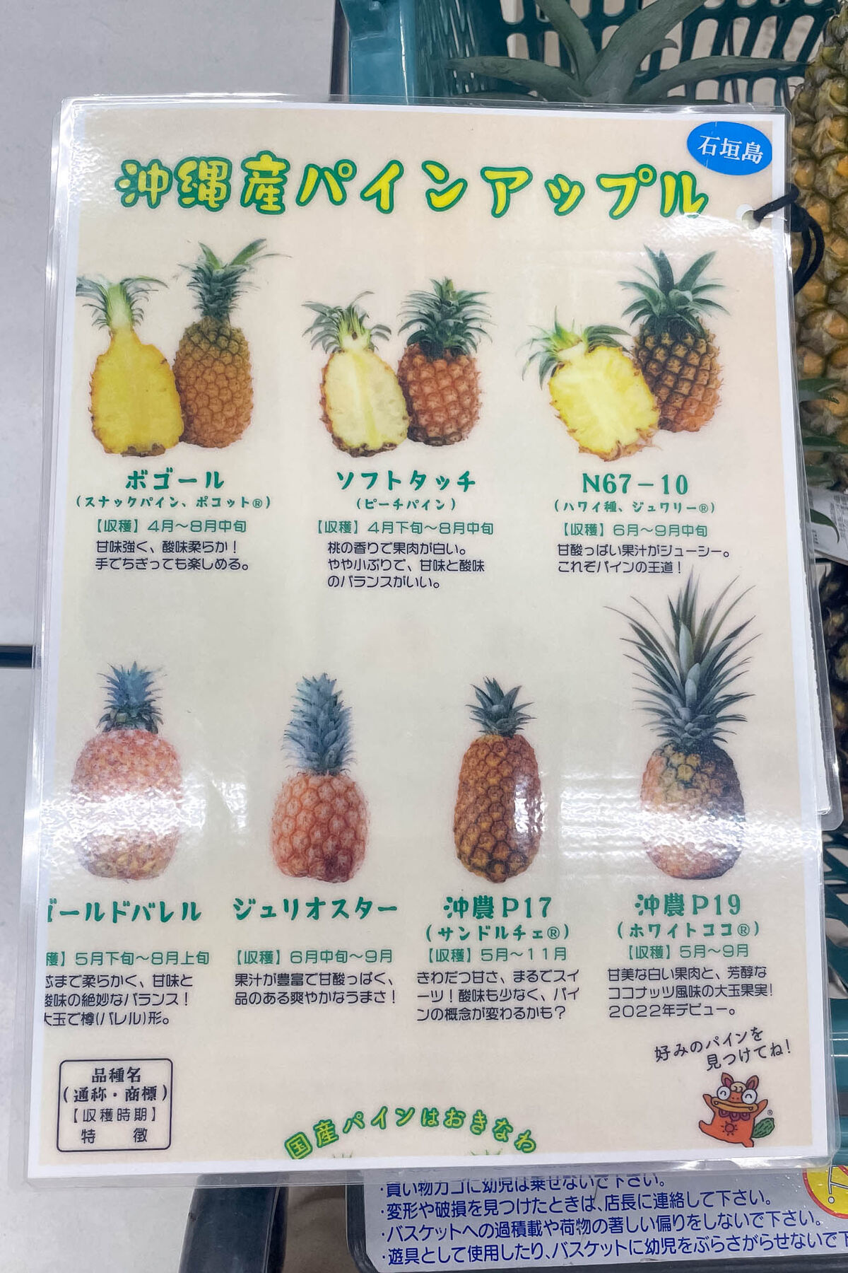 石垣島産完熟パイナップル 2～3玉(4kg以上)4～5玉(8Kg以上） 送料込