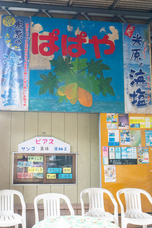 papaya-23102814