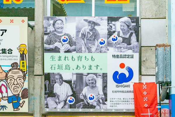 石垣島-2307111