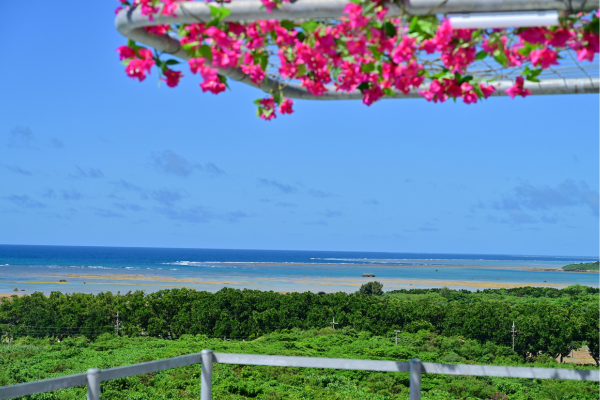 Open Skyt展望台からの眺め