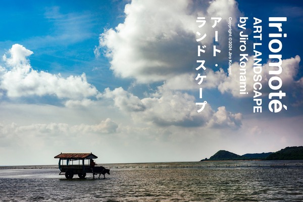 11969-1336-f039976d42b3a3ea3b60f