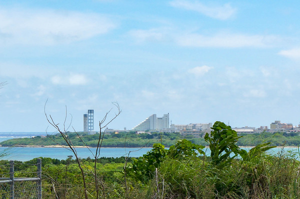 石垣ヒルズ-2307299