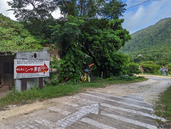 PXL_20230901_082941772