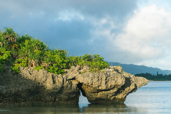 ビーチ-2307141