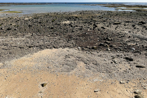 大浜海岸-23121511