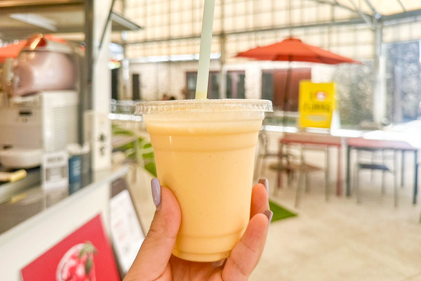 かびらガーデン-2407057