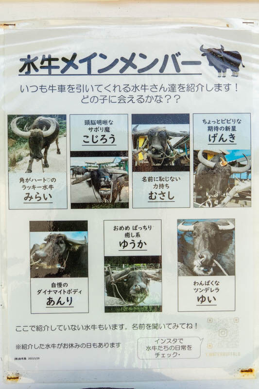由布島20230713103916