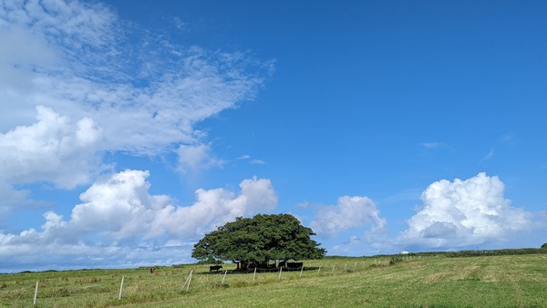 PXL_20230905_072339516