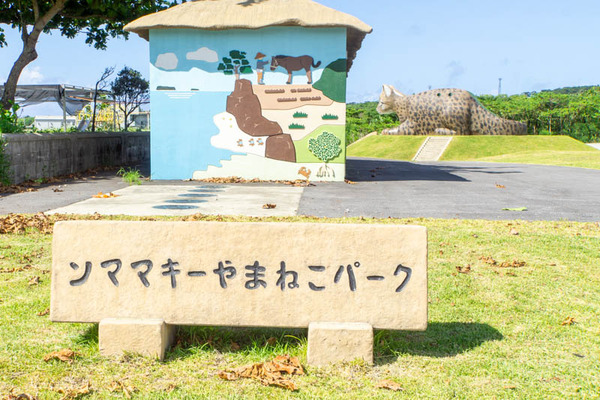 やまねこパーク20230713094456