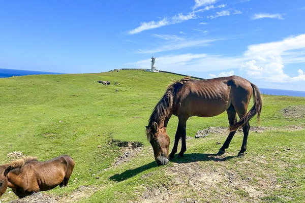 与那国島-2312054