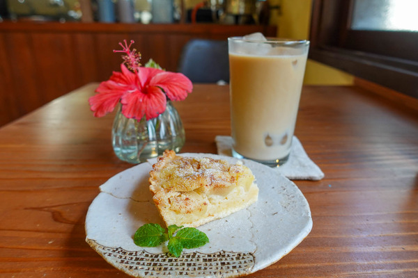 しろくま-2402227