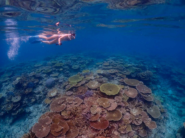 シュノーケル-2309186