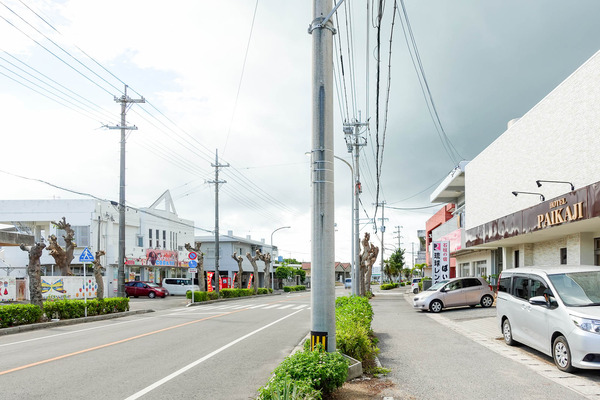 パイかじ-2309056