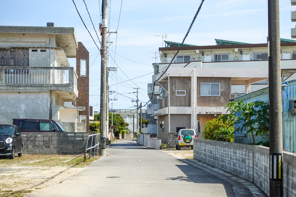 おはぎ-2402281