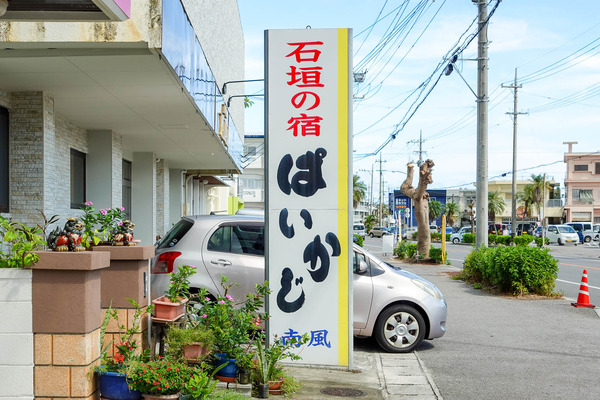 パイかじ-2309055