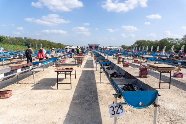 bbq-2311183
