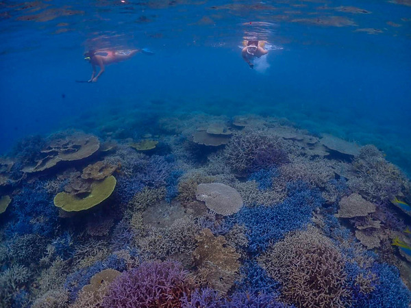 シュノーケル-2309184