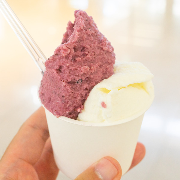 ミルミル-2307115