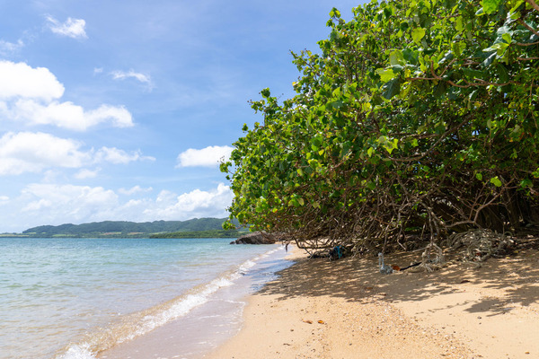 nanashibeach1-23072517