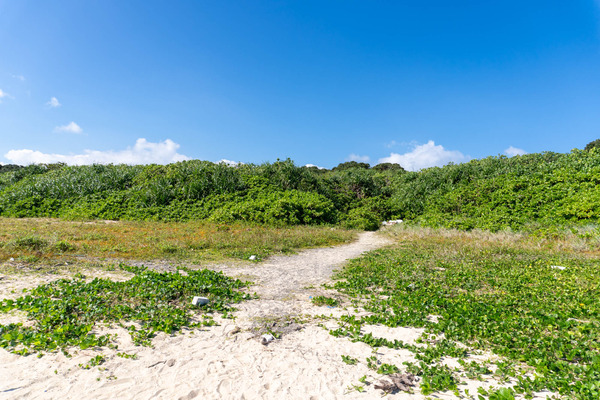 akaishibeach-23121518
