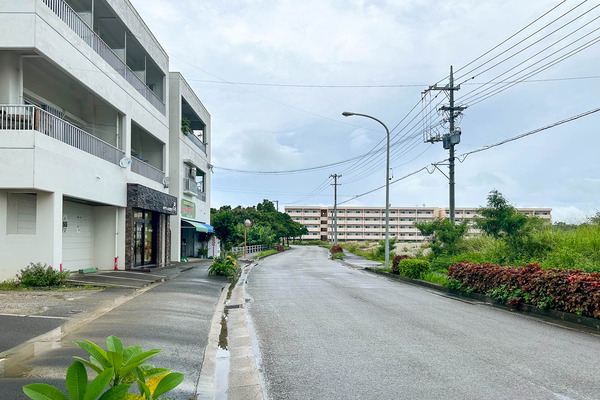 パイナップル食堂-2405282