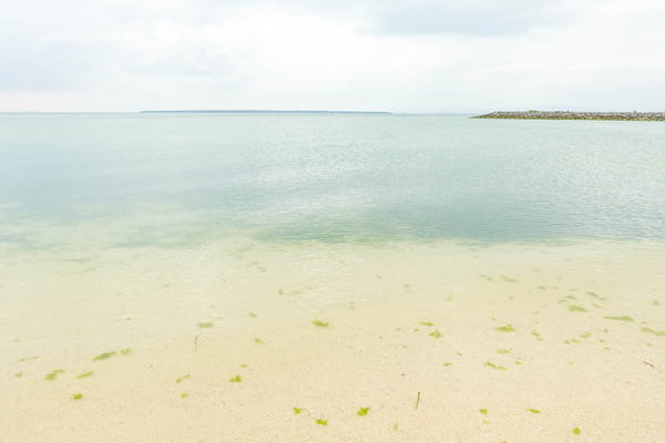 海水温度-2403107