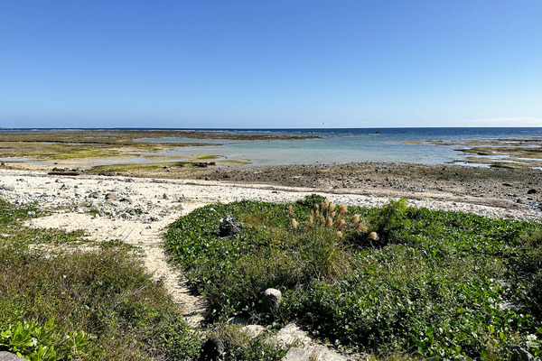 大浜海岸-23121516