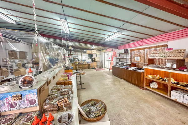 さとうきび-24050710