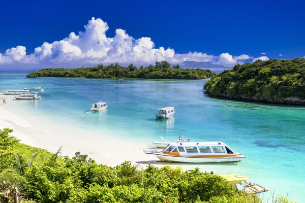 17302-53-a1cea5b547c23ec09cfceea