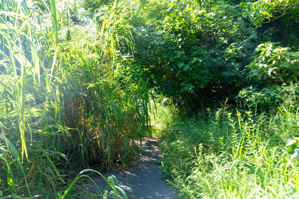 kaaragawa-2309095